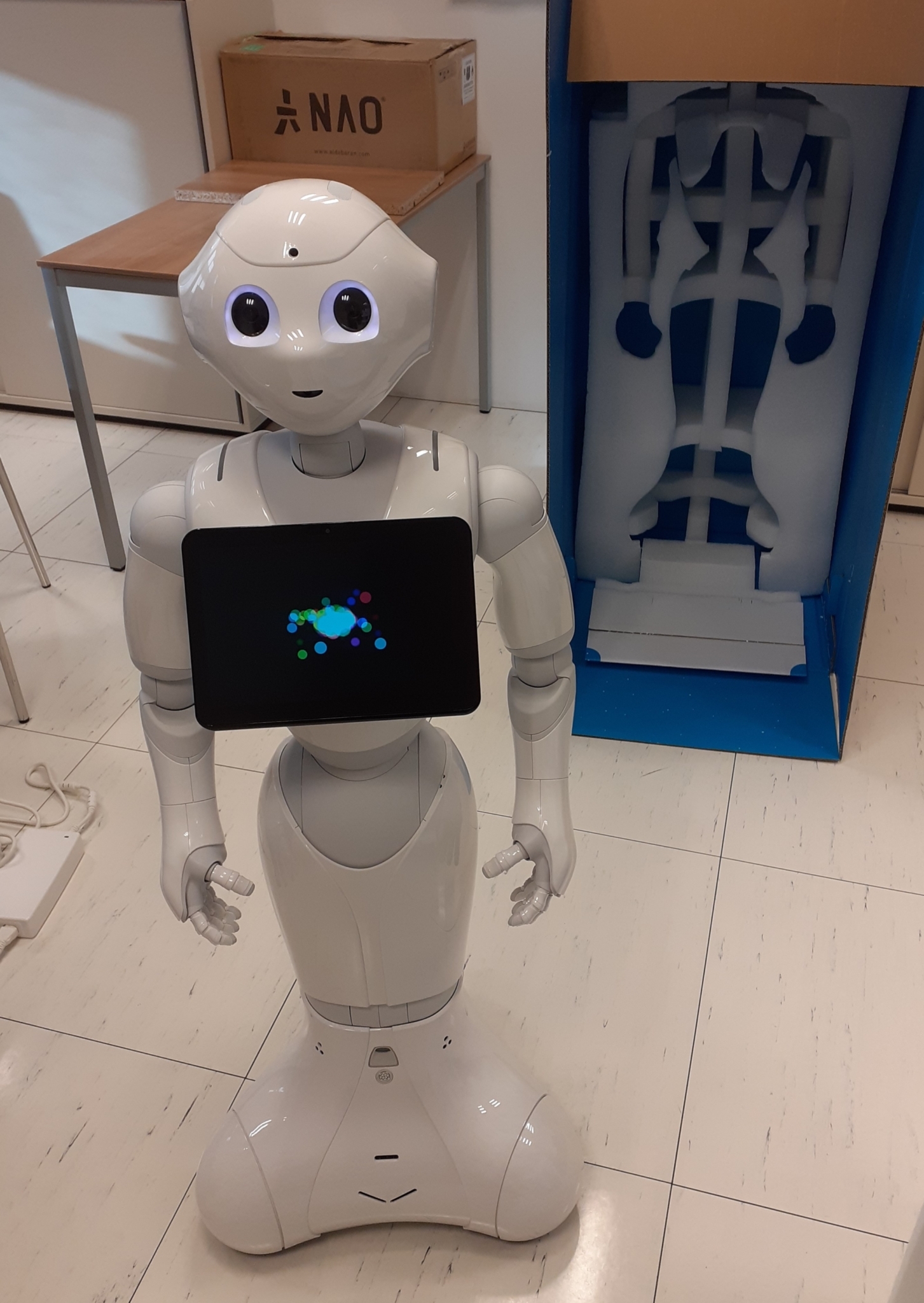 Ein kleiner weißer Roboter mit einem Display auf der Brust