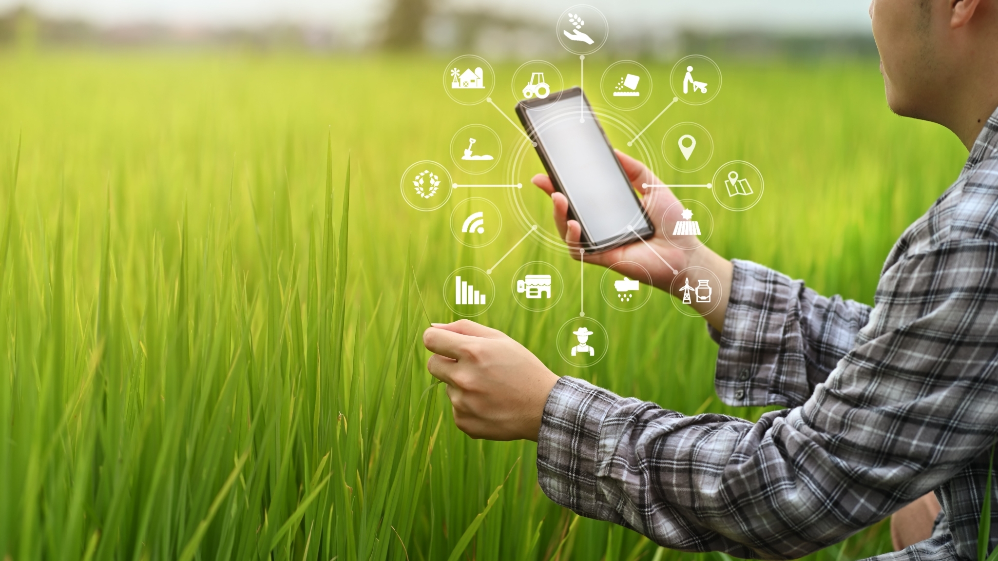 Ein junger Mann hockt auf einer Wiese in einem grünen Feld und hält ein Smartphone in der Hand. Um das Handy herum sind verschiedene digitale Symbole eingeblendet, wie zum Beispiel ein Traktor und ein GPS Symbol