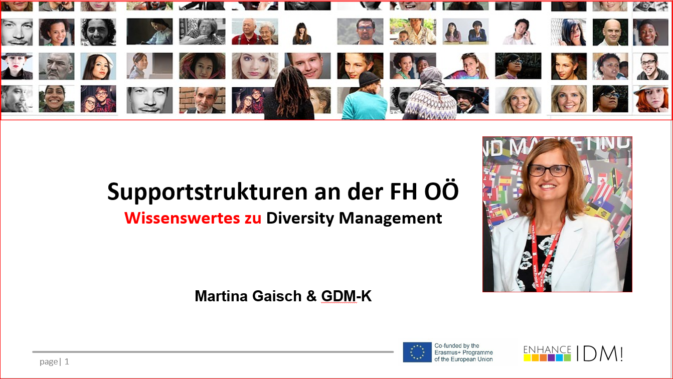 Ein Plakat mit dem Schriftzug Supportstrukturen an der FH OÖ - Wissenswertes zu Diversity Management. Darüber ist eine Collage von diversen Selfies und rechts daneben befindet sich noch ein Bild der Leiterin Martina Gaisch