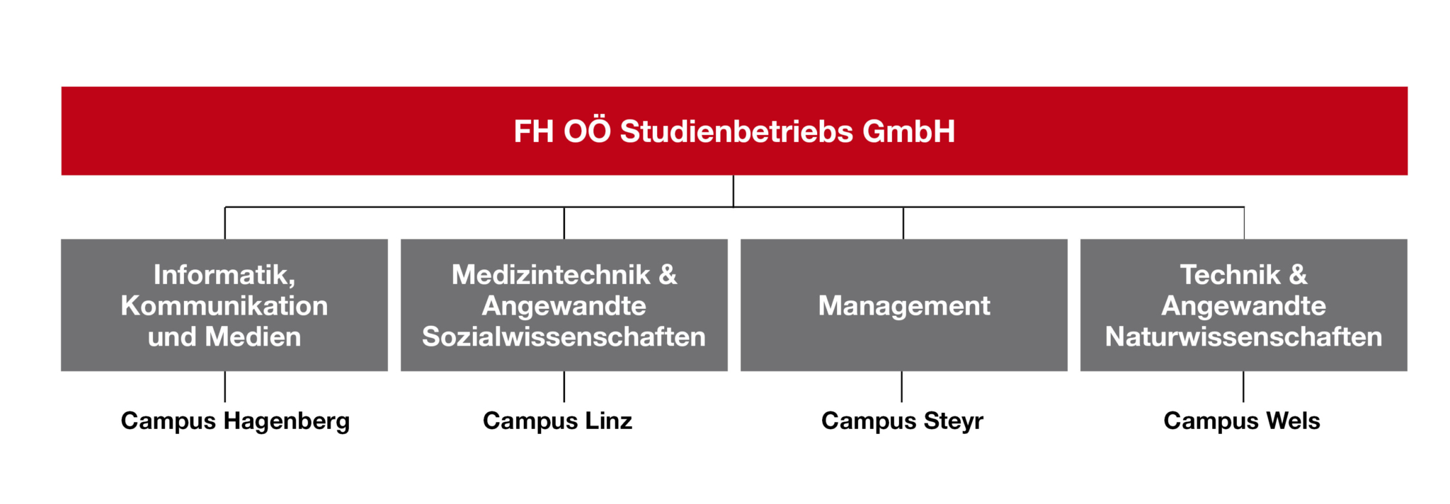 Strukturbaum des Studienbetriebs der FH Oberösterreich