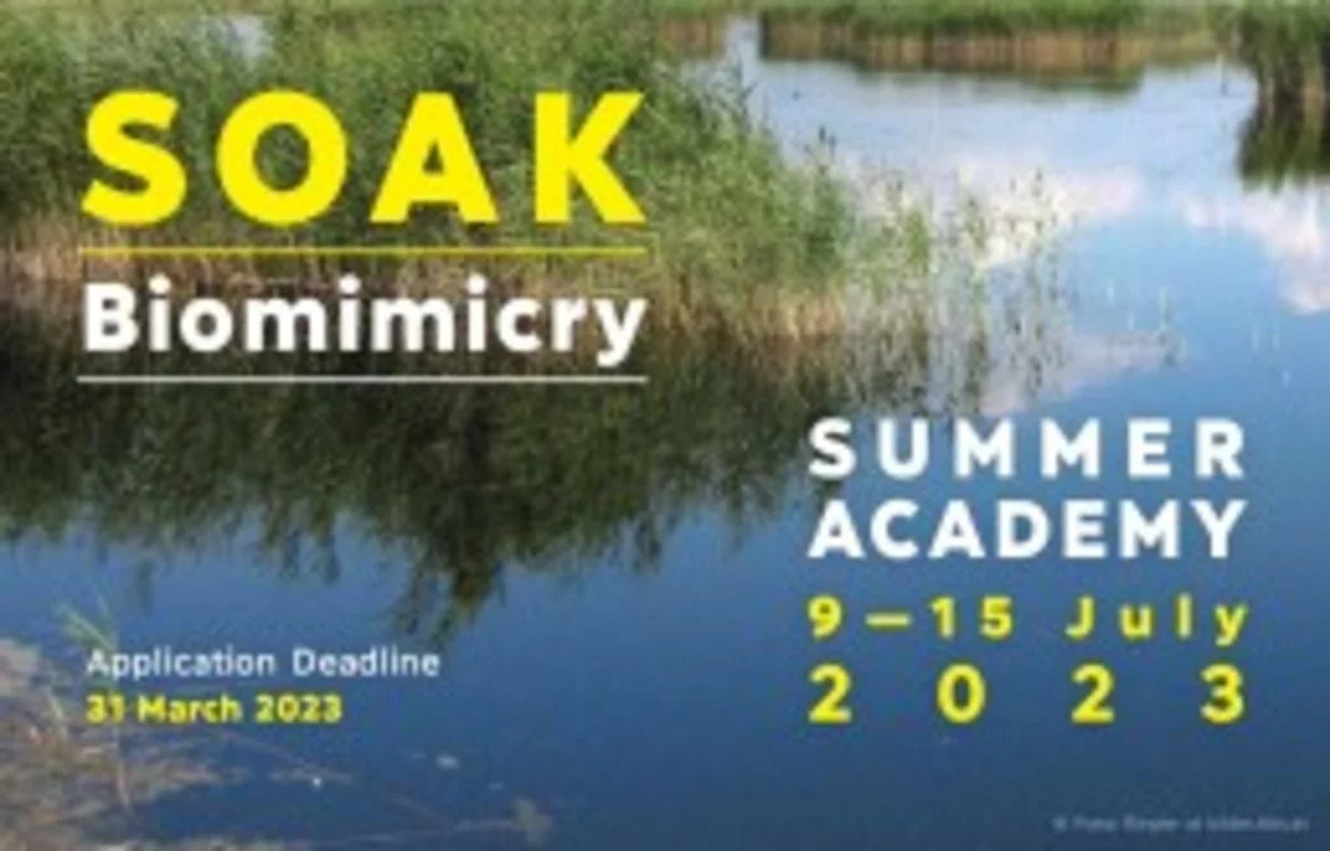 Ein Banner mit den Informationen, wann die Summer Academy 2023 stattfindet