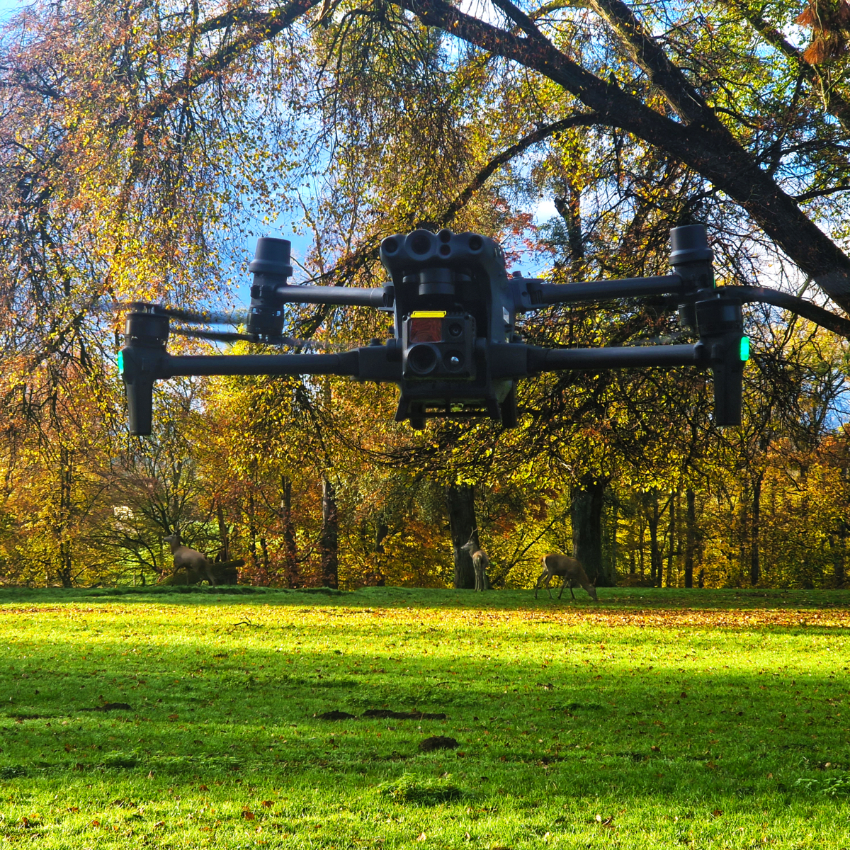 Eine Drohne fliegt im freien auf einer Wiese. Im Hintergrund ist ein Hirsch und ein Reh zu sehen.